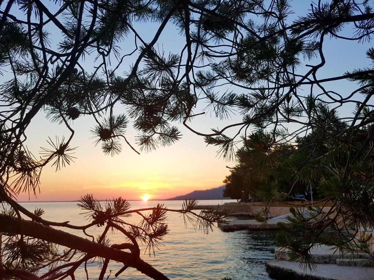 Appartement Bosi I Goli à Starigrad Paklenica Extérieur photo