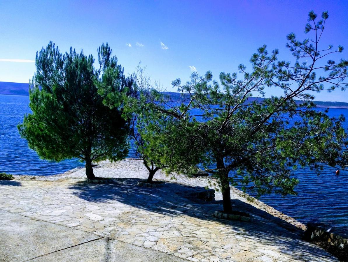 Appartement Bosi I Goli à Starigrad Paklenica Extérieur photo